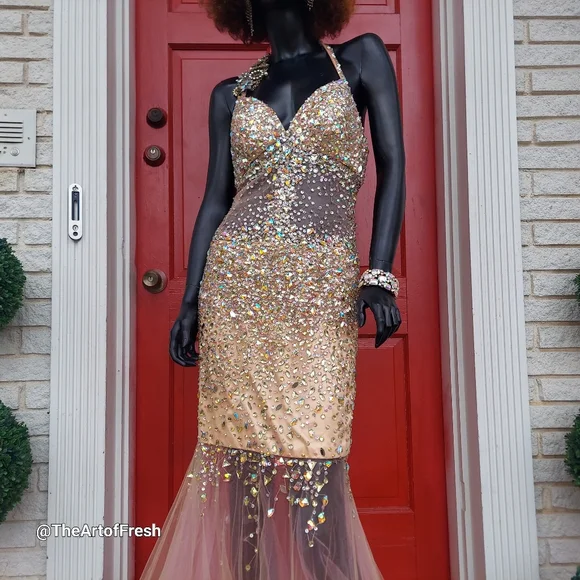 Prom Pageant Homecoming Dress - Picture 4 of 16